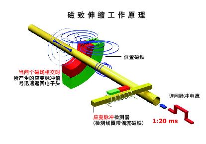 2014060343341313.jpg